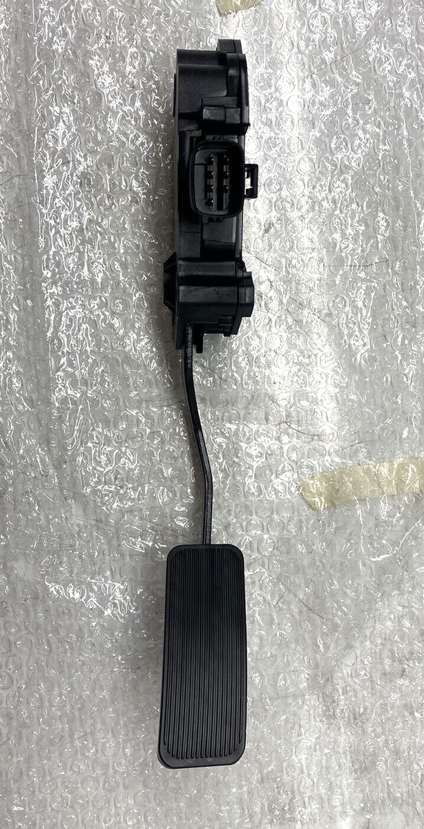 プードル 318+5pitpNL.jpg_BO30,255,255,