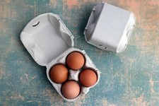 Henpac Grey 4-Egg Box, fits XL hens eggs and duck eggs, great for gifting