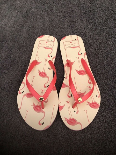 teva w voya infinity