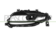 PRASCO Lüftungsgitter Grill Stoßfänger passend für MERCEDES-BENZ A-Klasse (W176)