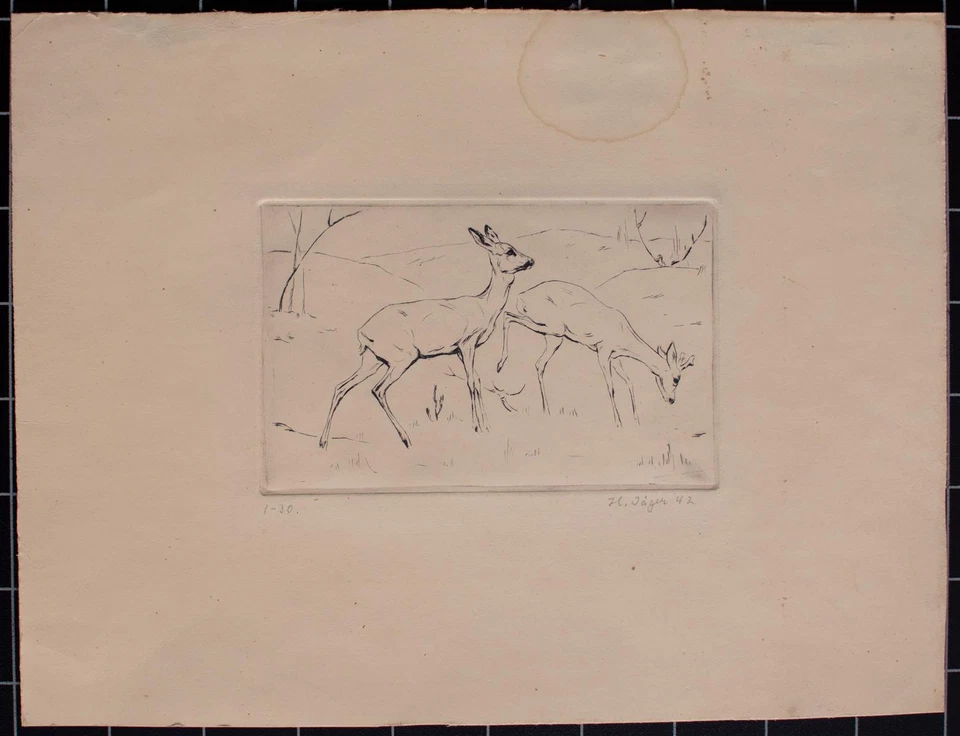 Hans Jäger Radierung Rehe eins von 30 Exemplaren signirt datiert und nummeriert - Bild 2 von 4