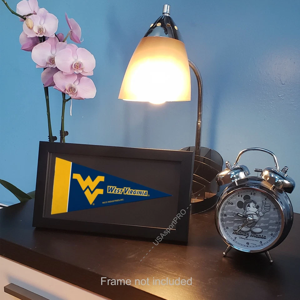 NCAA, NFL, MLB NHL Mini Pennant 9"x4" inch, felt - Image 3 of 4