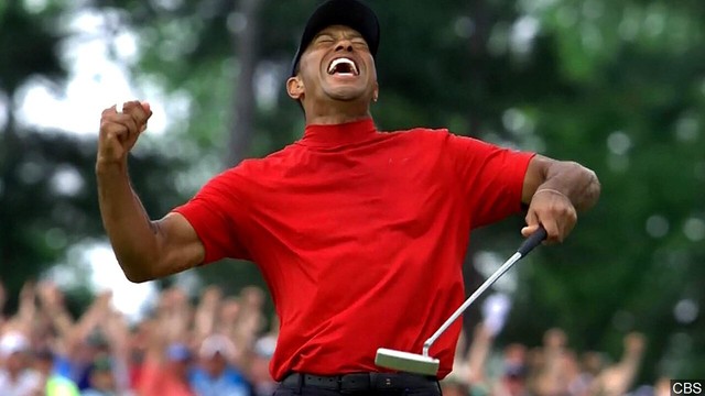 tiger woods vapor mock