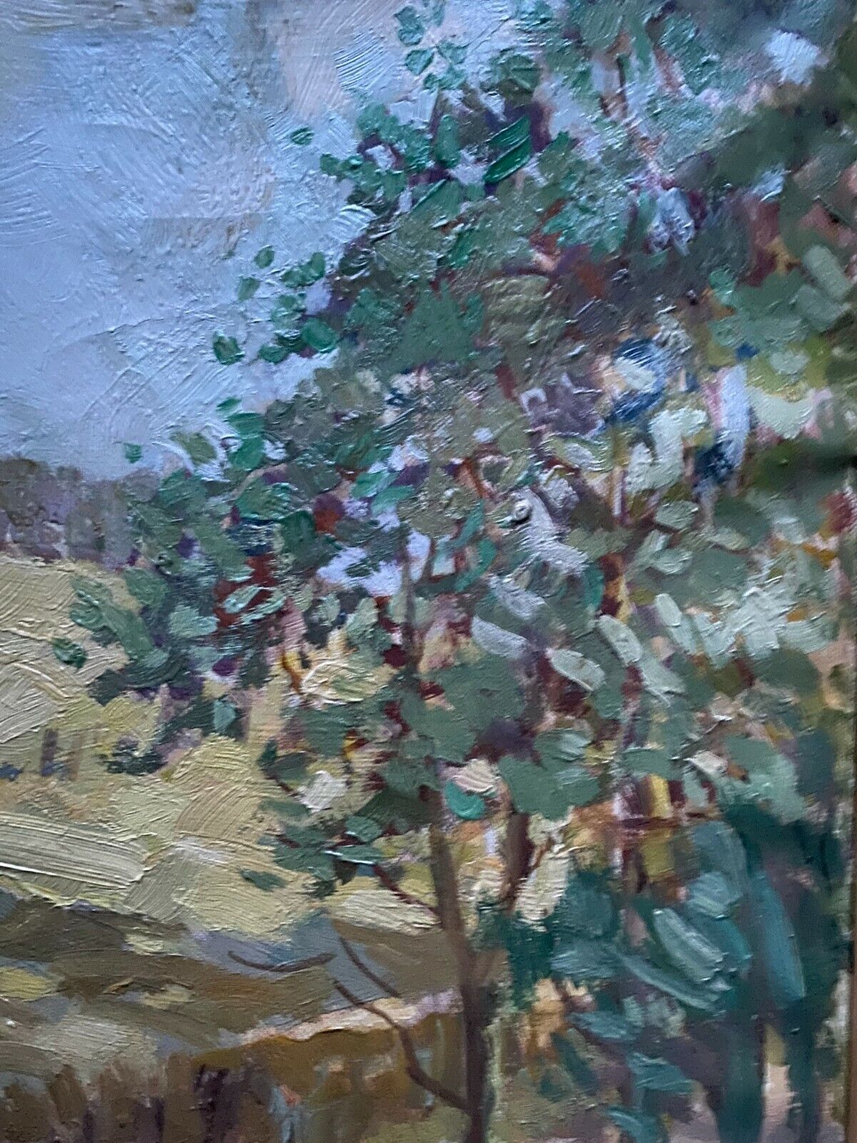 Picture 8 of 11