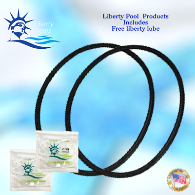 【FAB】Mauvrion Skies / TNP025-RF 272541 O-Ring Replacement Pool - Spa Filter and Valve For Pentair