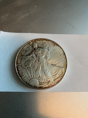 Y2K toned 2000 American Silver Eagle 1 oz Fine Silver Coin