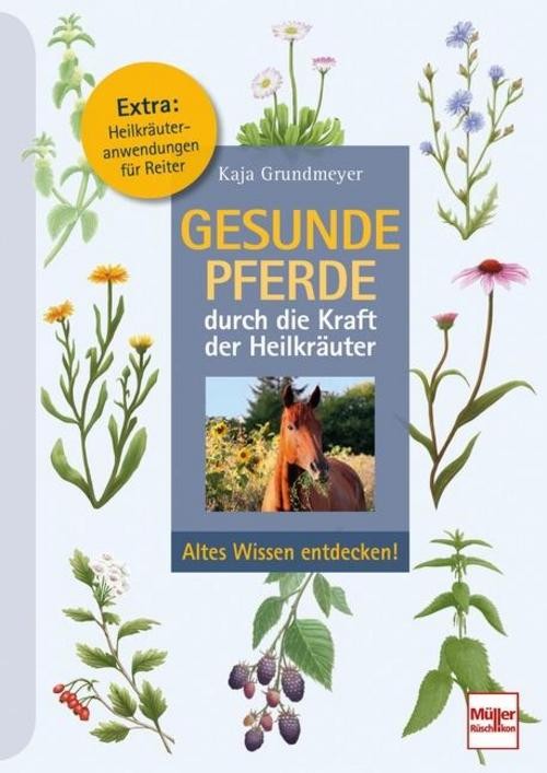 Gesunde Pferde durch die Kraft der Heilkräuter Kaja Grundmeyer