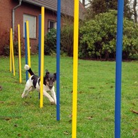 Agility Slalom Set 12 Teilig Hunde-Parcours Slalom-Stangen Hunde-Agility Blau