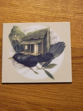 Swift Silver – Swift Silver CD Indie Folk Americana 2023