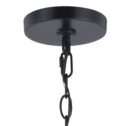 Vaxcel Lighting P0310 Hayes 4 Light 16"W Pendant - Black - Picture 2 of 11