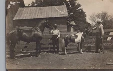 1910 Al Lafe Anderson Horses Greenleaf Kansas Barn RARE Photo RPPC Postcard