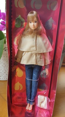 Momoko Doll North Wind Viola | eBay