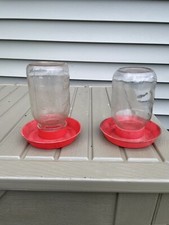 2 Vintage Clear Glass Chicken Feeders