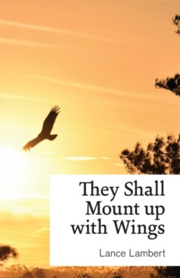 Lambert - y Shall Mount up with Wings - New paperback or softback - X555z