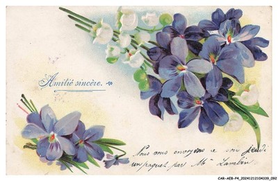 CAR-AEBP4-0192-Celebration And Wishes - Sincere Friendship - Flowers