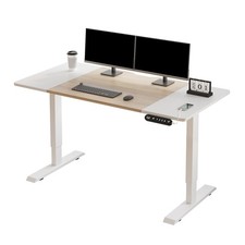 Modernchamp 55" Height Adjustable Standing Desk-20W Type-C Fast Charging Port