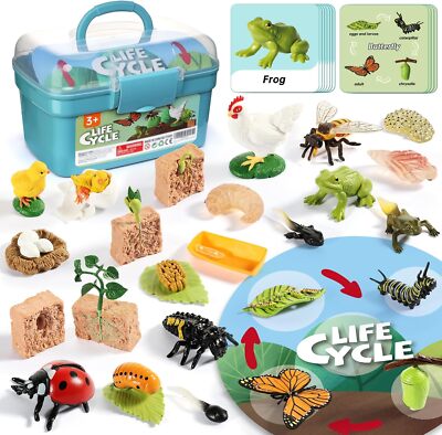 Figurines du Cycle De Vie – Figurines d'animaux Réalistes pour, Ensembles De 4 À 5 Pièces | Kit De Figurine D'insectes en PP, pour Améliorer Les Capacités Cognitives des, L'édu Figurines du Cycle De Vie – Figurines d'animaux Réalistes pour, Ensembles De 4 À 5 Pièces | Kit De Figurine D'insectes en PP, pour Améliorer Les Capacités Cognitives des, L'édu