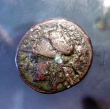 Ancient Greek Bronze Coin Kyme Aiolis Sear 4201 Circa 300 BC 18.44 mm 5.9 Gram