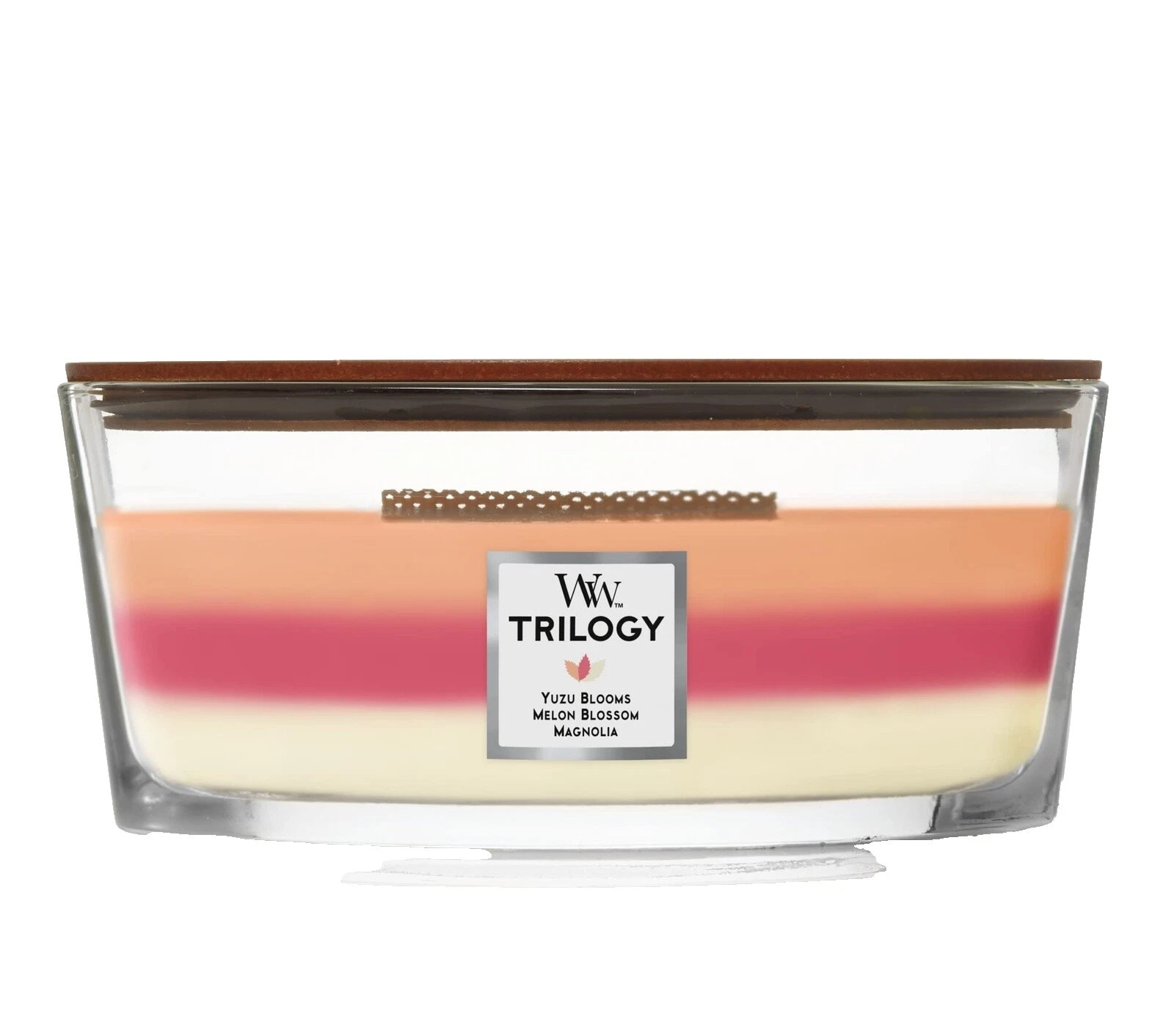 Contemporary Décor Candles