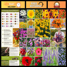 Northeast Wildflower Seed Mix - 1 lb, 480,000+ Seeds | Attract Pollinators, Plan 102.99 per gallon