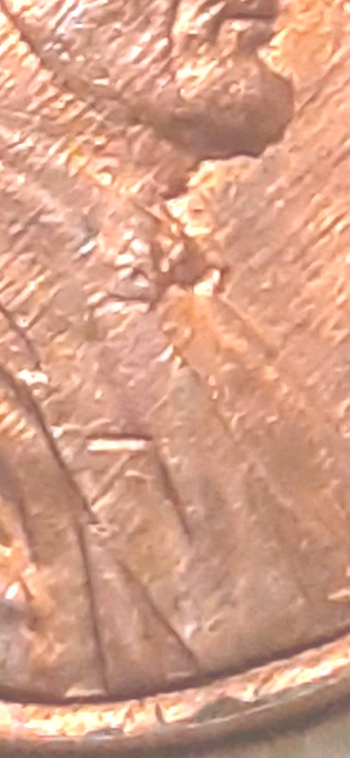 Picture 24 of 24