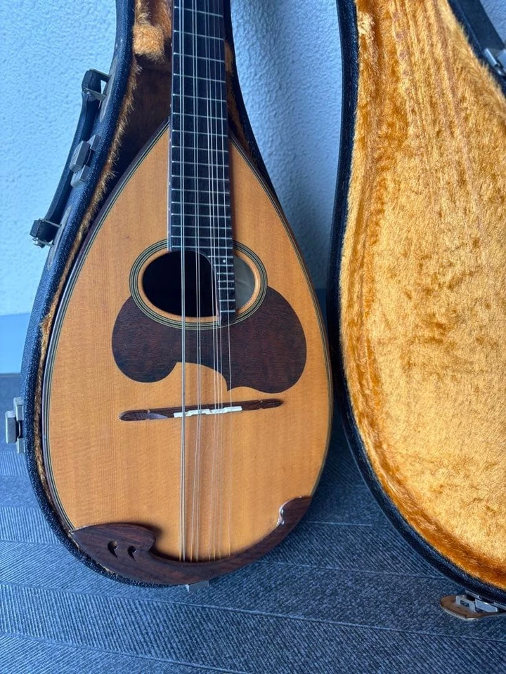 Suzuki M-30 Japan Bowlback Mandolin Hard Case Vintage MIJ - Image 2 of 4