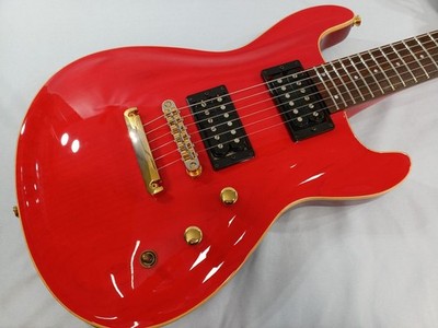 Fernandes APG-100 E-Gitarre Professional Series