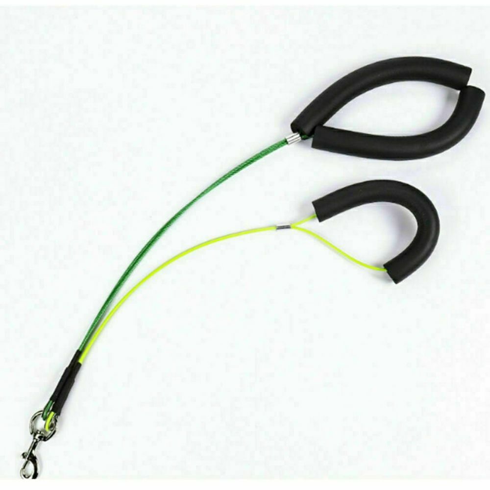 Cat Standing Training Pet Grooming Tool Dog Grooming Loop Leash Haunch Holder eBay