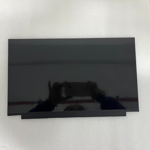 Écran Portable BOE NE156QHM-NZ2 V8.0 15,6" QHD IPS 240Hz - Compatible Universel