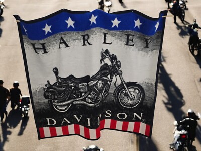 Harley Davidson Fleece Throw Blanket Biederlack USA Vintage Motorcycle 48