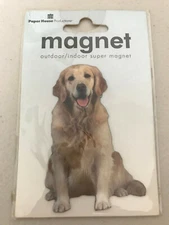 Golden Retriever Magnet Fridge, decor art Paper House Productions Made in USA
