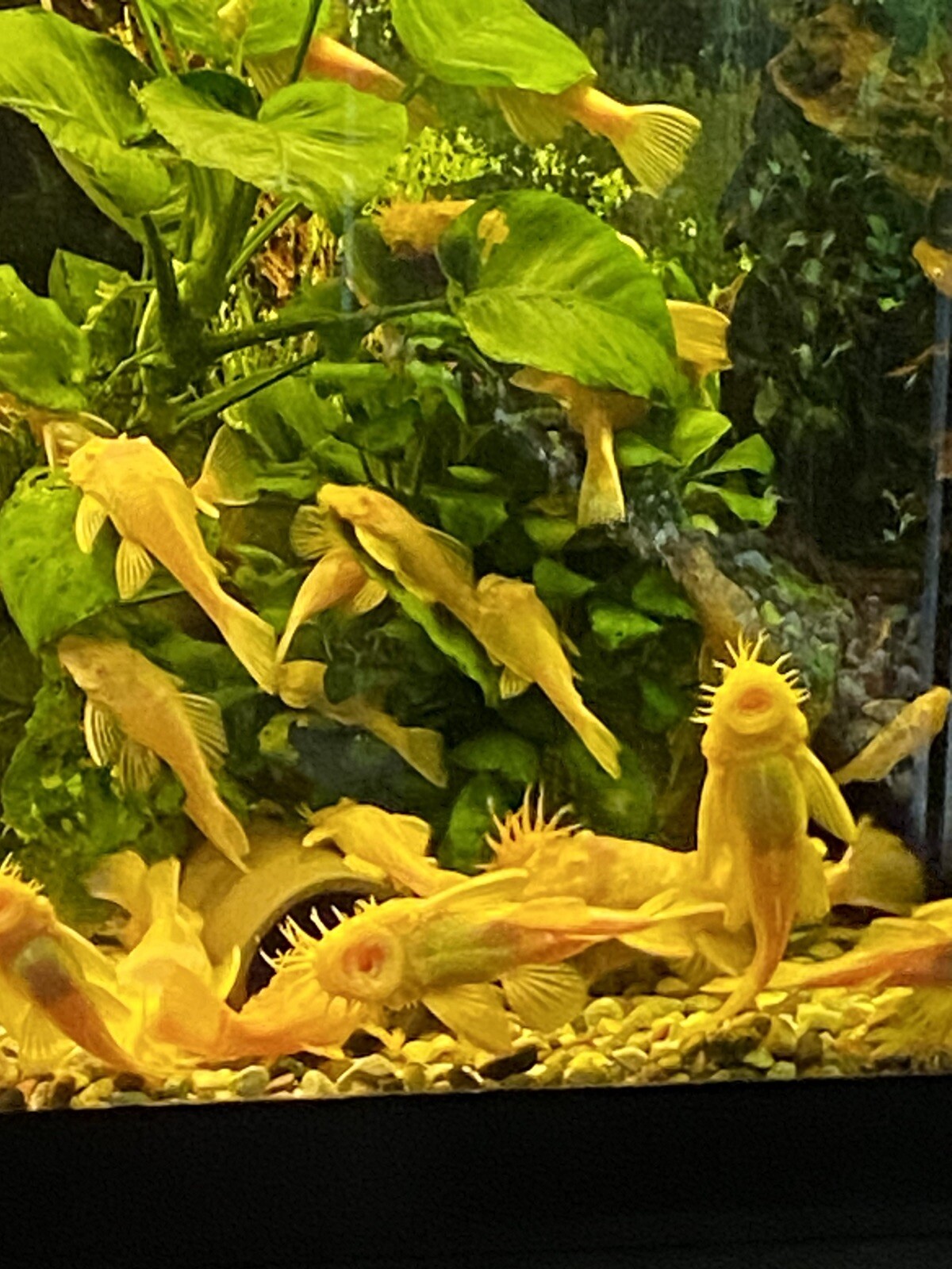 Picture 7 of 13