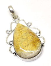Natural Lovely Fossil Coral Pear Cabochon Gemstone Fashion Jewelry Pendant 2