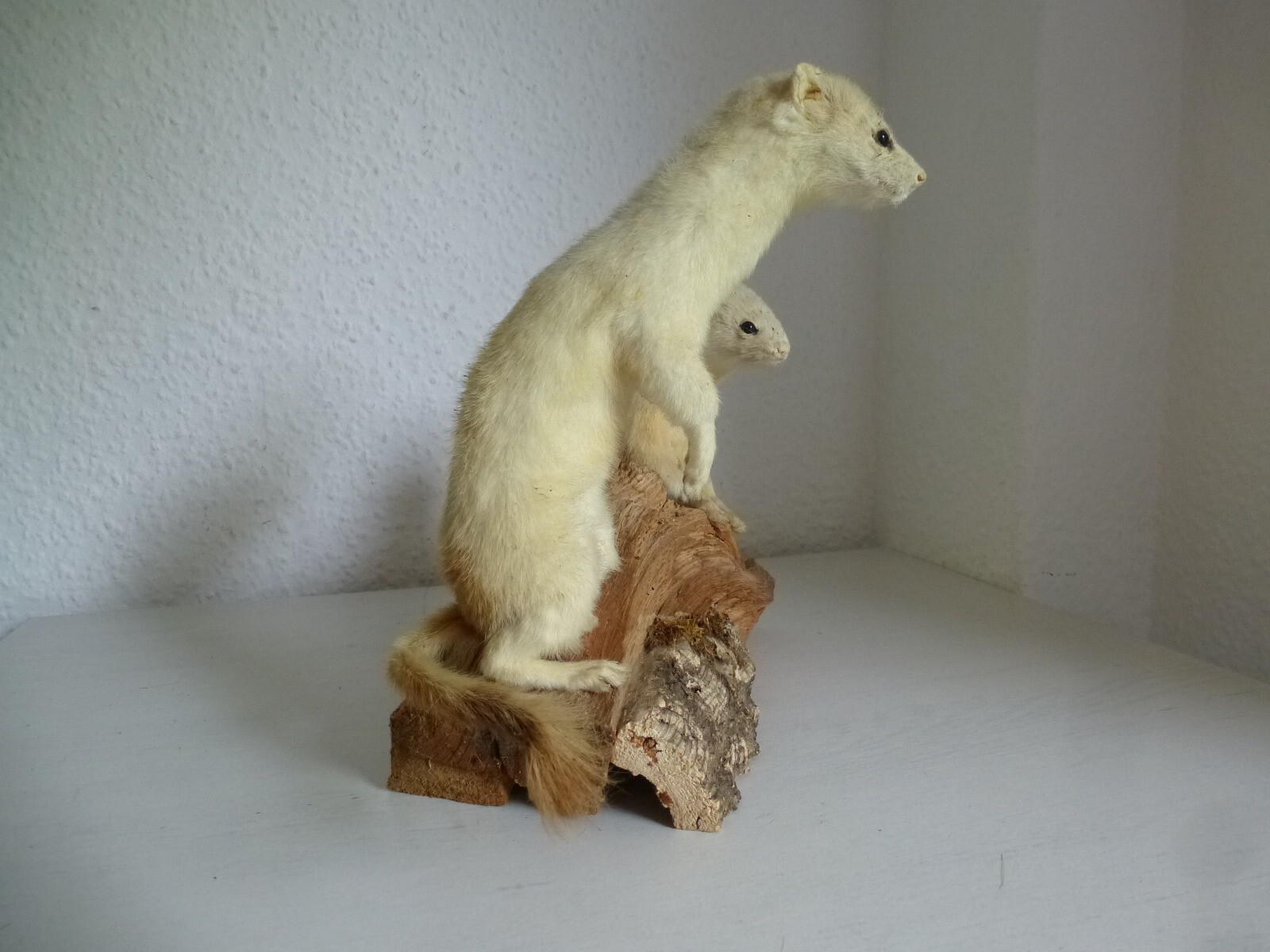 Bild 5 von 7
