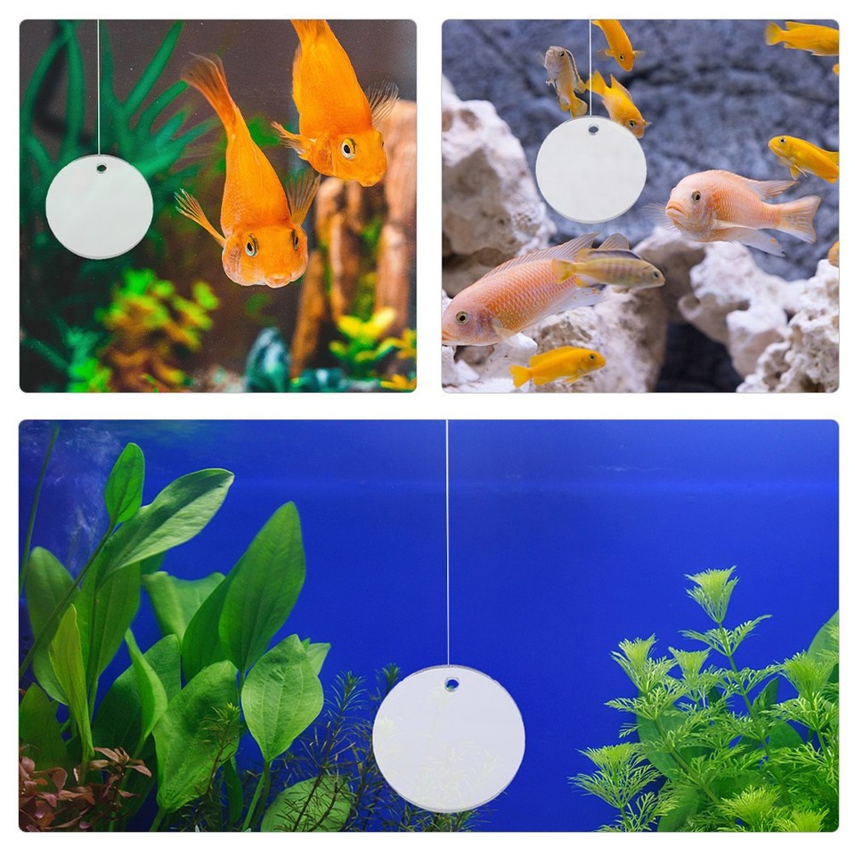 Exercise Mirror with Floating Ball Fish Tank Toys Betta Aquarium | eBay ...