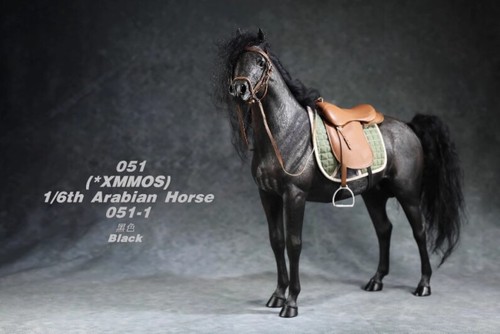 New Mr.Z 1/6 Arabian Horse Statue Arab Equidae Steed Collection Model Figure Toy - Picture 13 of 28