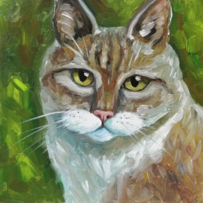 Cat oil painting original. Painting animal by photo for cat lovers. 25x25 cm