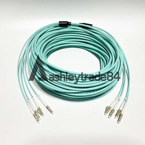 60m LC-LC MM 4 Strand Armored 10G OM3 Fiber Cable Fiber Optic Jumper Patch Cord - Afbeelding 2 van 8
