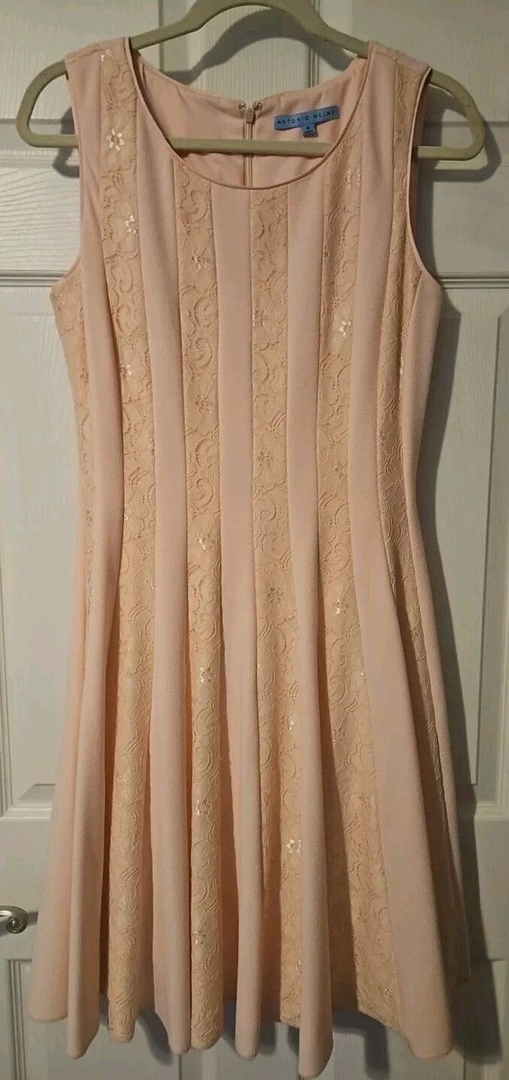 Antonio Melani Lita Blush Pink Sleeveless Dress Size 8 "Dirty Dancing" NWOT | eBay Antonio Melani Lita Blush Pink Sleeveless Dress Size 8 "Dirty Dancing" NWOT | eBay