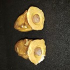 Foto 5 di 12