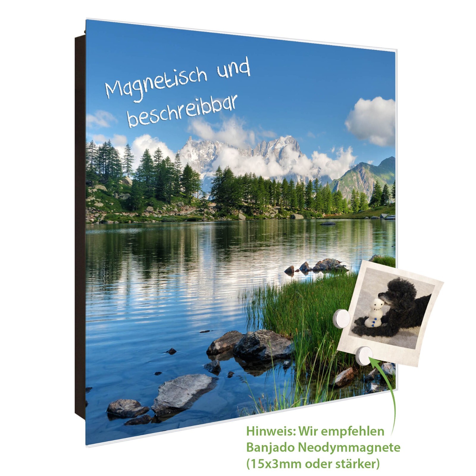 Banjado Schlüsselkasten Glas 30x30cm - 50 Haken Motiv Katzen-Hunde Weiß Magnetisch