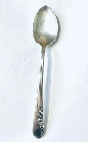 International Silver Co. Sterling Silver Blossom Time 6" Dessert Oval Tea Spoon
