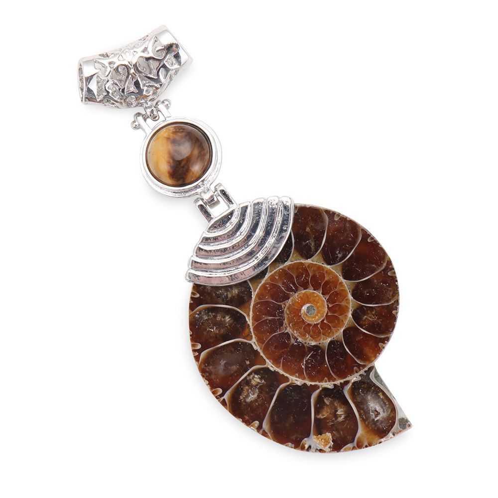 Fossil Stone Pendant Natural Spiral Pattern Cabochon Conch Shell Stone ...