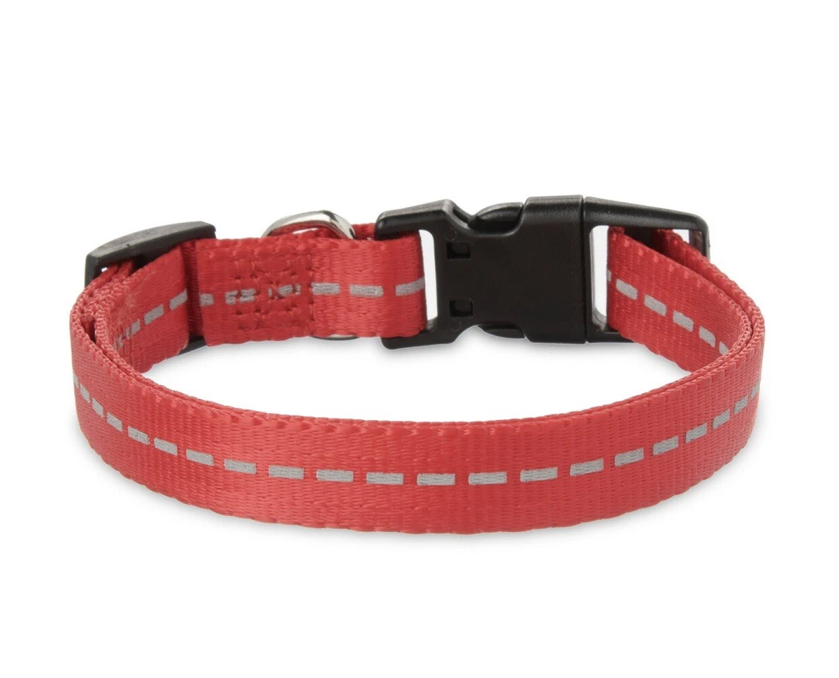 Vibrant life dog clearance collar