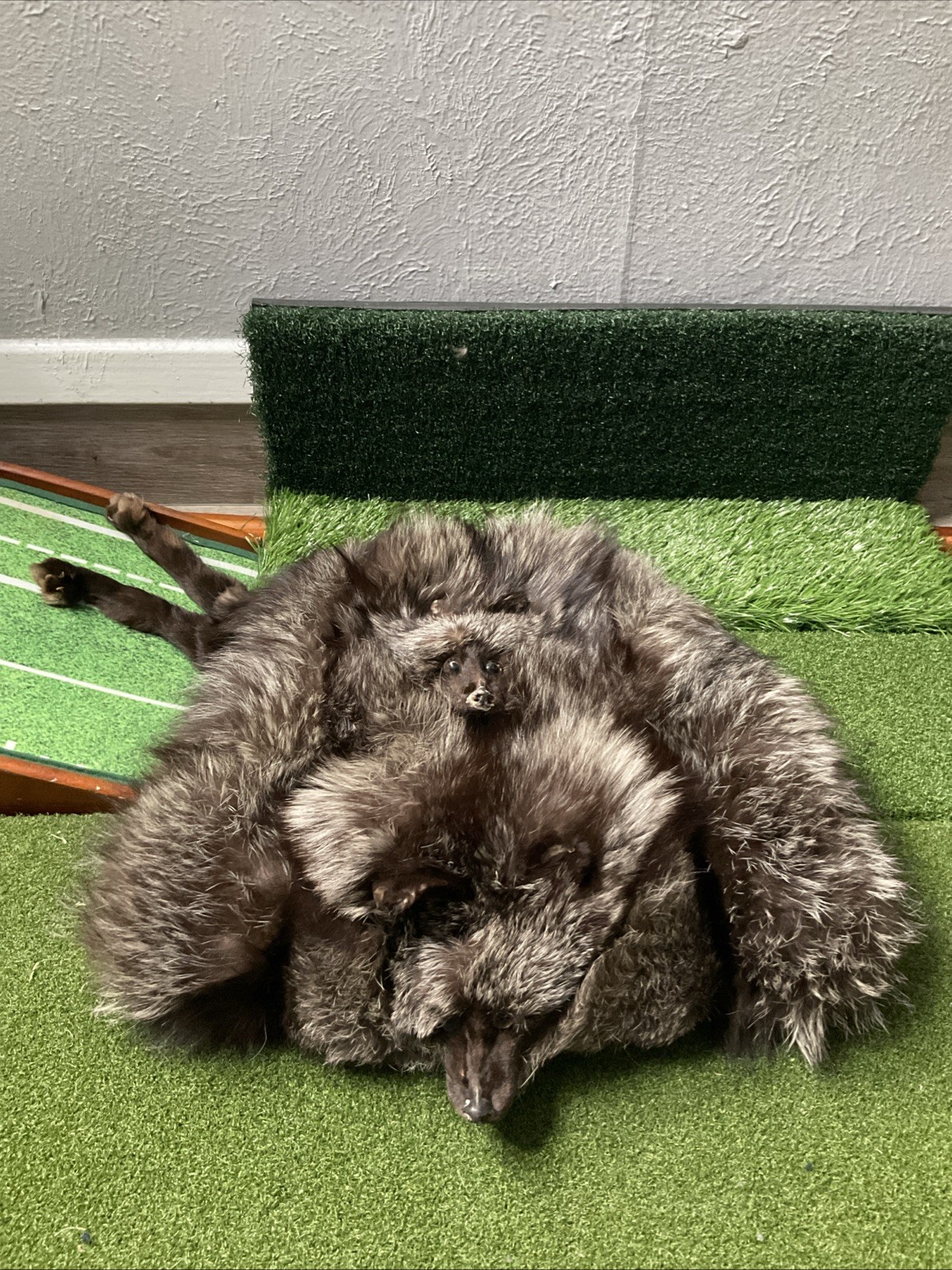 Neiman Marcus Double Silver Fox Fur Vintage Inside Zipper Opening On Each Side