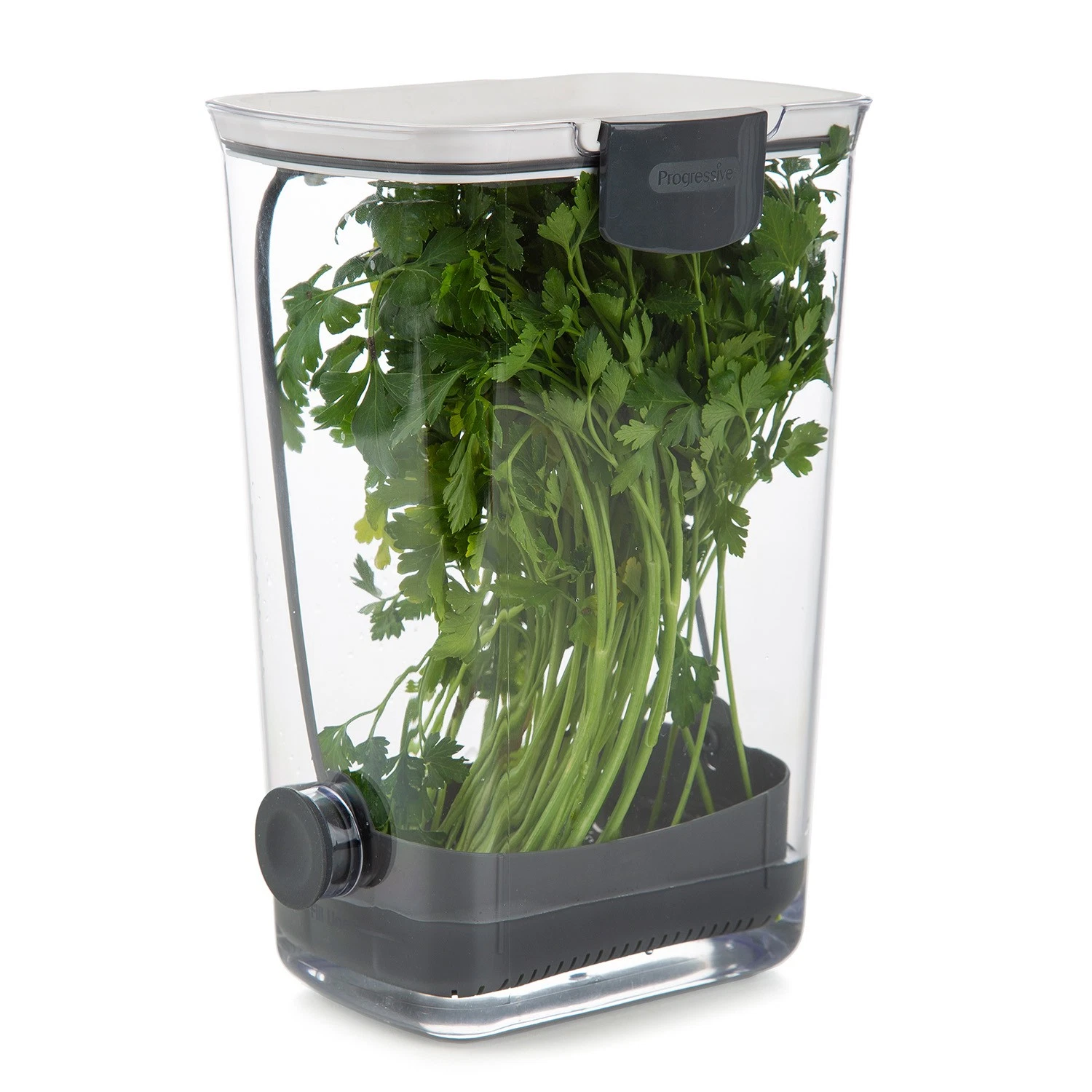 Progressive Prepworks Herb Keeper