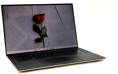 Dell XPS 15 9500 Laptop PC FHD+ i7-10th Gen 32GB 1TB SSD NVIDIA