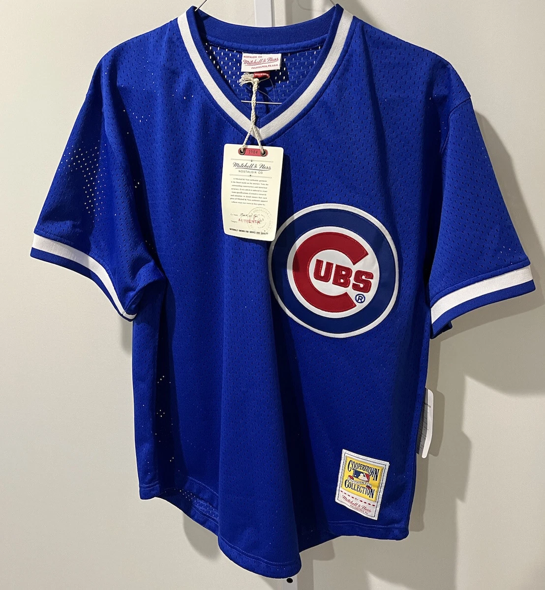 Chicago Cubs Ryne Sandberg 1984 Mitchell & Ness Authentic Road Jersey 40 = Medium