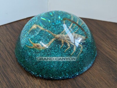 3 1/2'' SCORPION PAPER WEIGHT ACRYLIC DOME FELT BACKING DESK DECORATION INSECTS