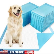 Dog Training Pads Ultra-Absorbent Scented Blue Pet Pads 24 x 24 - Large 50 Pack